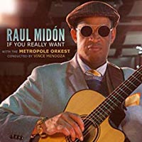 Raul Midon If You Really Want